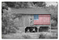 Barn Flag 24 x 16