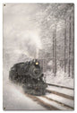 Snow Train 16 x 24