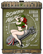 Radiator Bombs Away 24 x 32