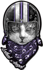 CAT HELMET 12 X 19