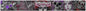 LETHAL ANGEL BANNER 47 X 5