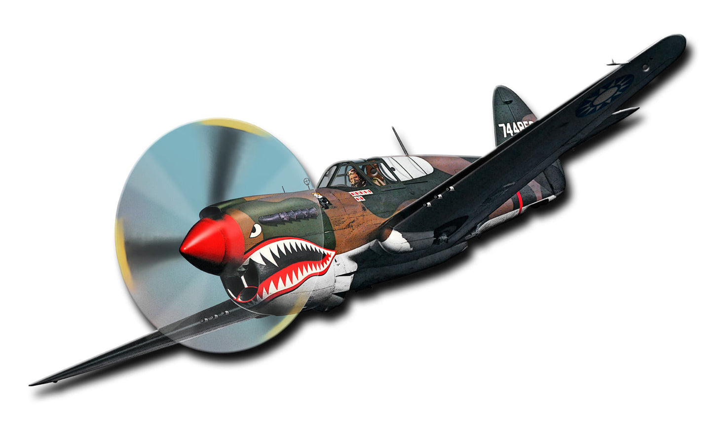 Flying Tiger 22 x 12