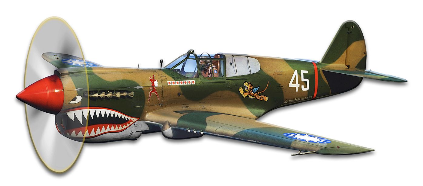 P-40 Flying Tigers 18x8