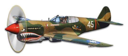 P-40 Flying Tigers 18x8