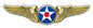 Air Corps Wings 16 x 4