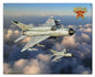 Mig 21 30 x 24