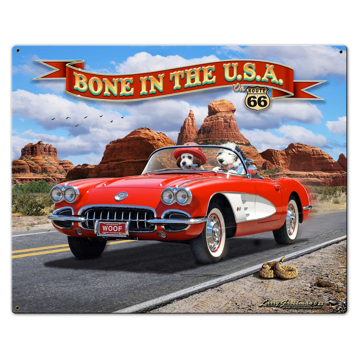 Bone In Usa Vette 30 x 24