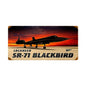 Sr-71 Blackbird 24 x 12