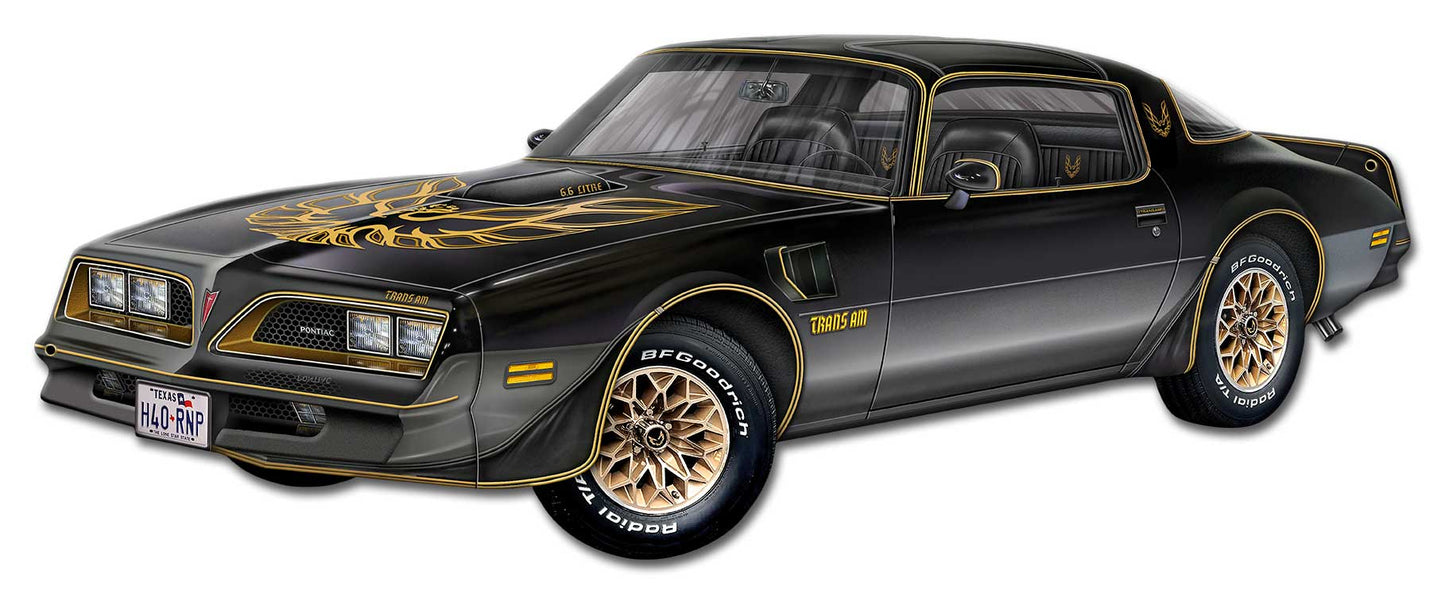 1977 Trans Am 24 x 9