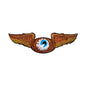 Flying Eye 35 x 10