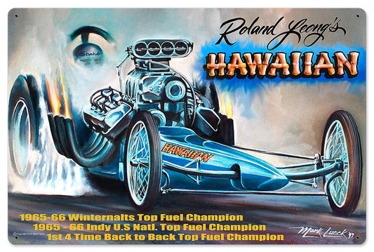 Hawaiian 24 x 16