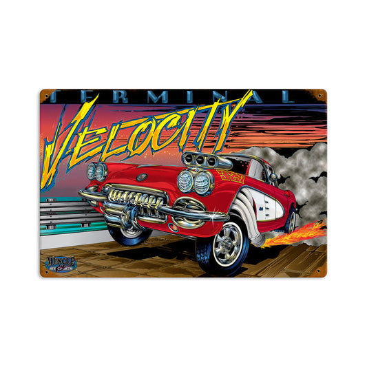 Terminal Velocity 18 x 12