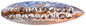 Li Lighthouse 22 X 6