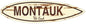 Montauk The End 21 X 5