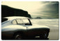On The Beach 36 x 24
