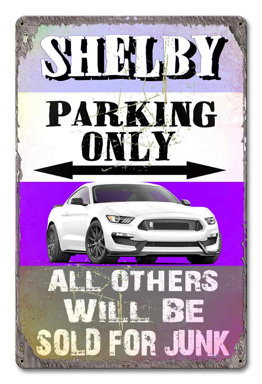 Shelby Parking 12 x 18