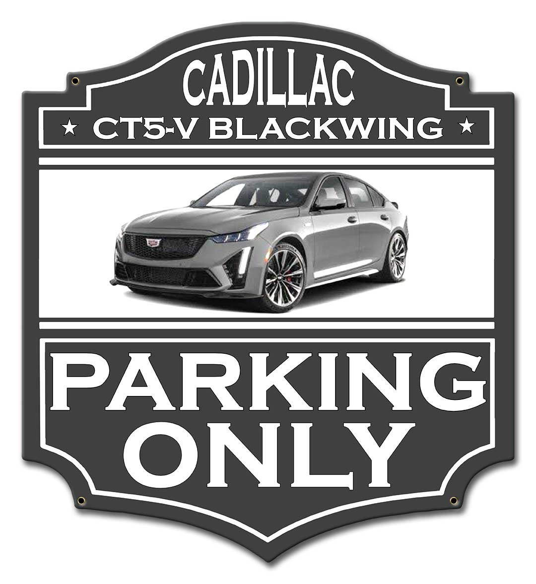 Cadillac Ct5-V Blackwing Parking 14 x 15