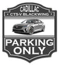 Cadillac Ct5-V Blackwing Parking 14 x 15