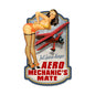 Aero Mechanics 17 x 10