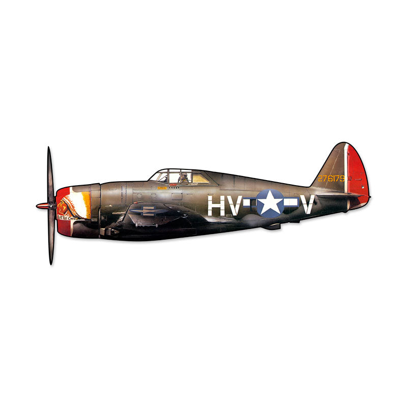 P-47D Thunderbolt 23 x 9