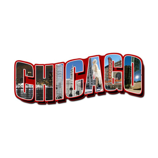 Chicago Landmarks 24 x 11