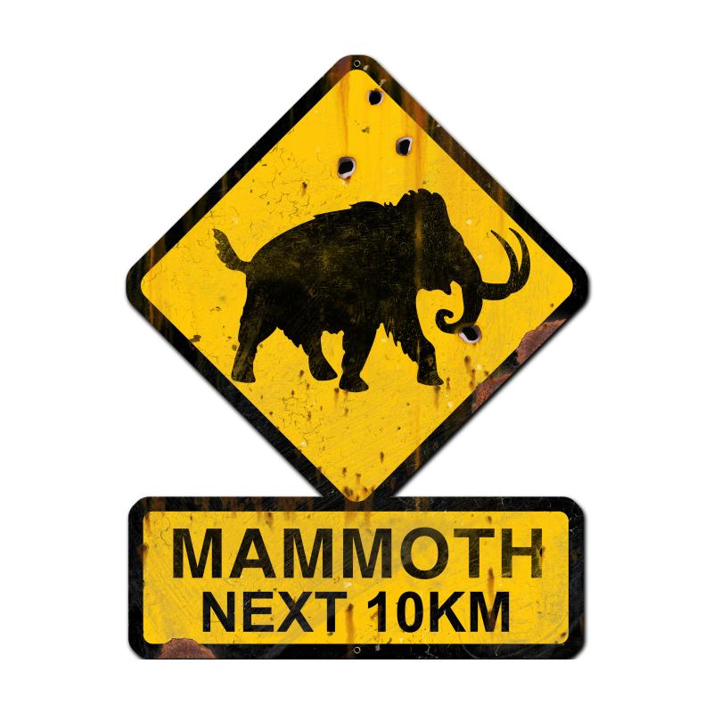 Mammoth Next 10 Km 25 x 20