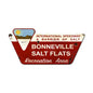 Bonneville Salt Flats Created 36 x 18