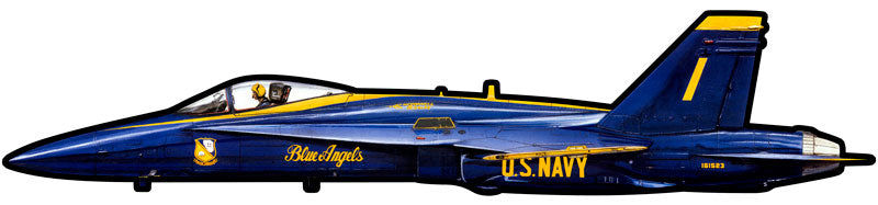 Blue Angels 42 X 10