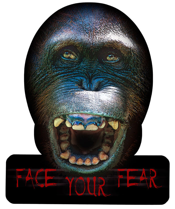 Face Your Fear 12 x 15