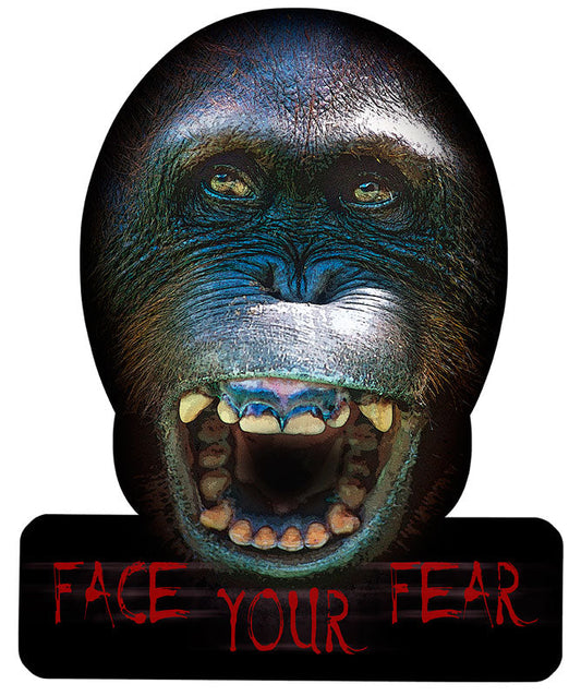 Face Your Fear 12 x 15
