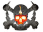 Flaming Skull Bolt Rip 19 x 16