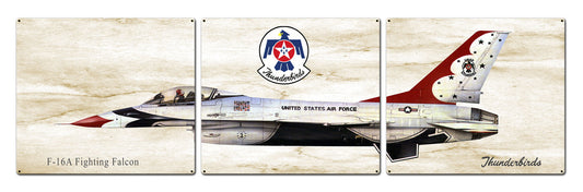 F-16 Fighting Falcon 48 x 14