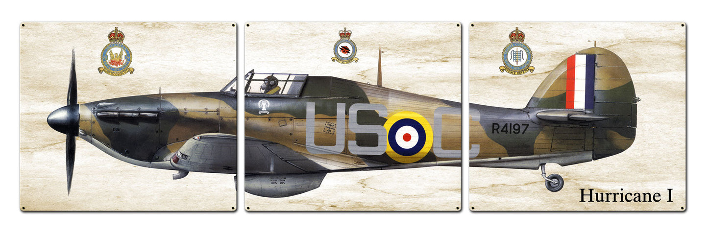 Hurricane I 48 x 14