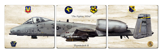 Thunderbolt Ii 48 x 14