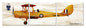 Tiger Moth T.2 48 x 14