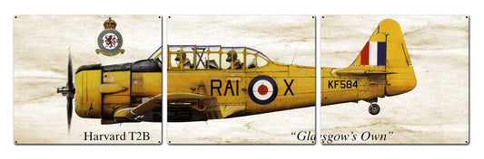 Harvard T2B 48 x 14