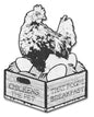Chicken Pet Poops Breakfast 14 x 18