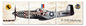 P-51 Mustang 48 x 14