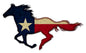 Texas Horse 24 x 15