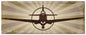 Planes P-40 Warhawk 48 x 19