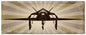 Planes F117 Stealth Fighter 48 x 19