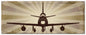 Planes F86F Sabre 48 x 19