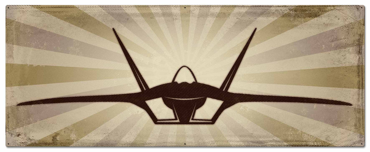 F-22 48 x 19