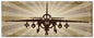 A6 Intruder 48 x 19
