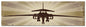 B1B Bomber 48 x 14