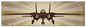 F14 Tomcat 48 x 14