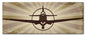 P-40 Warhawk 24 x 10