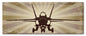 Fa18 Hornet 24 x 10
