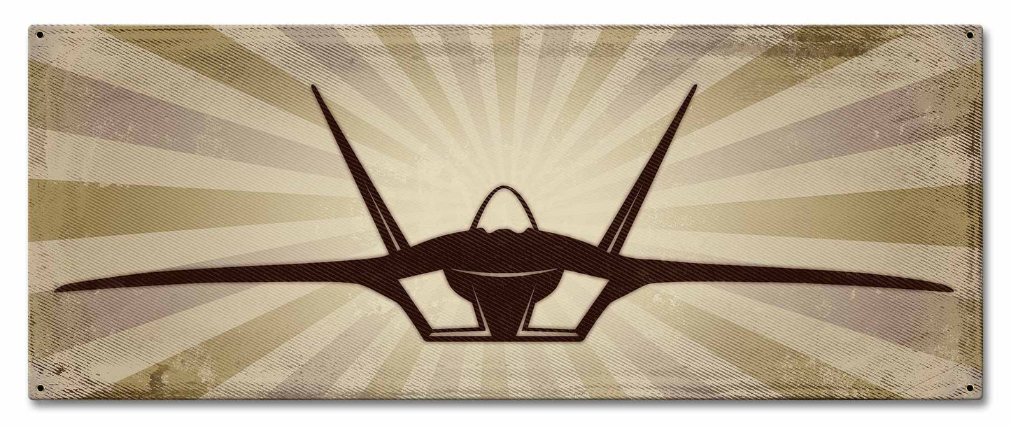F-22 24 x 10