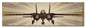 F14 Tomcat 24 x 7